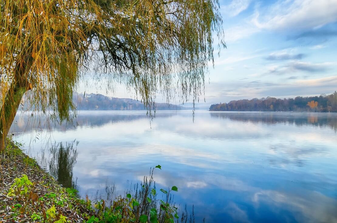 Baldeneysee in Essen neben dem See sind Bäume und eine grüne Wiese