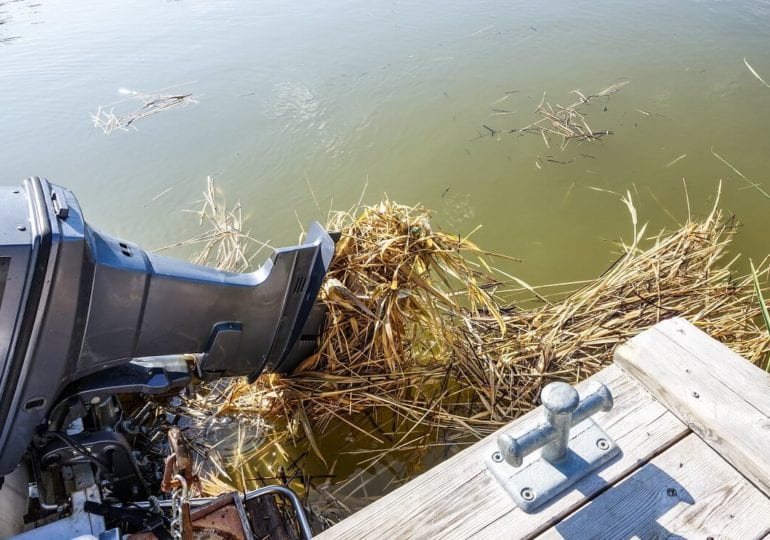 Den Bootspropeller von Plastik und Dreck im Wasser befreien