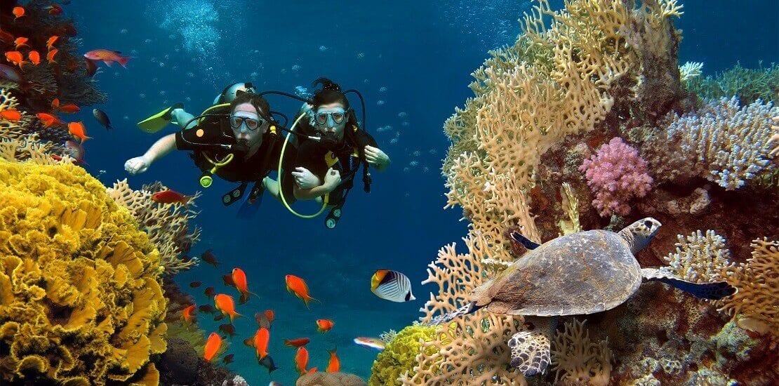 Gegen Langeweile auf dem Segeltörn – Freizeitgestaltung auf Langfahrt