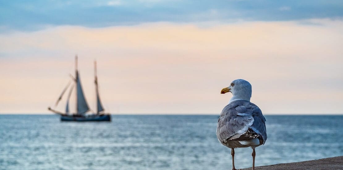 Fünf der schönsten Segelplätze in Deutschland