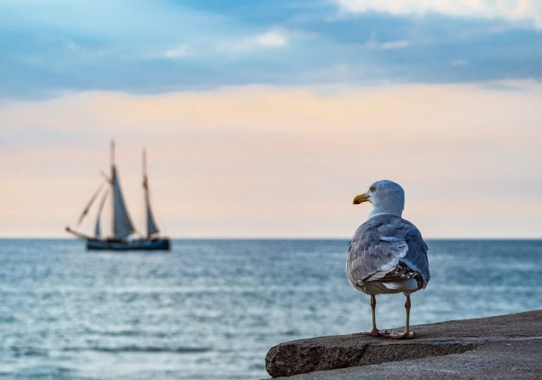 Fünf der schönsten Segelplätze in Deutschland