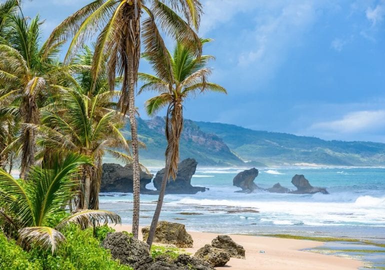 Segeln um Barbados: Zwischen rauem Fels und weißen Sandstränden