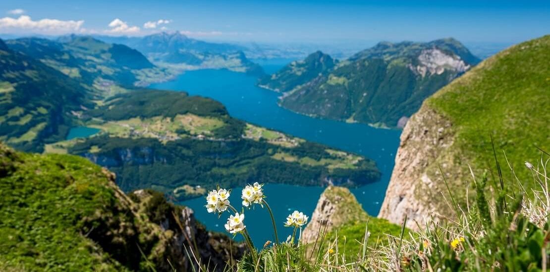 Der Vierwaldstättersee: Segeln zwischen Fjordlandschaften inmitten der Schweiz