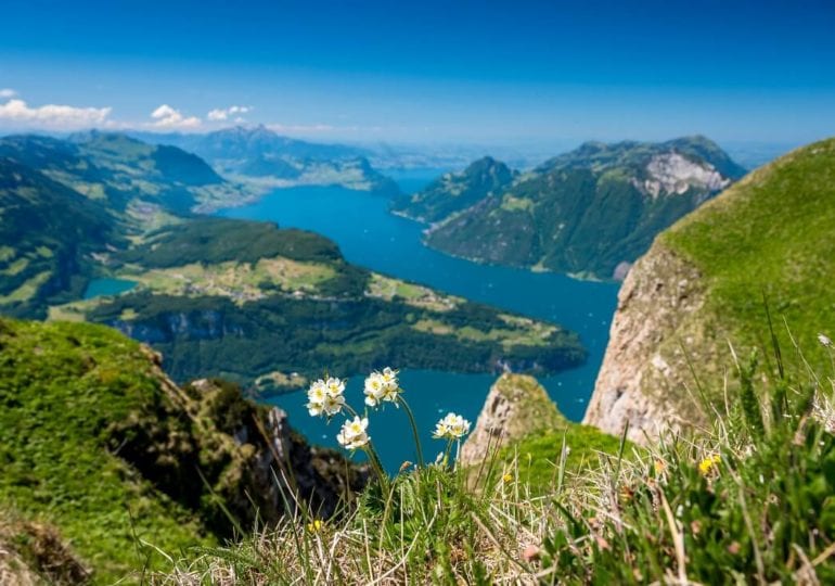 Der Vierwaldstättersee: Segeln zwischen Fjordlandschaften inmitten der Schweiz