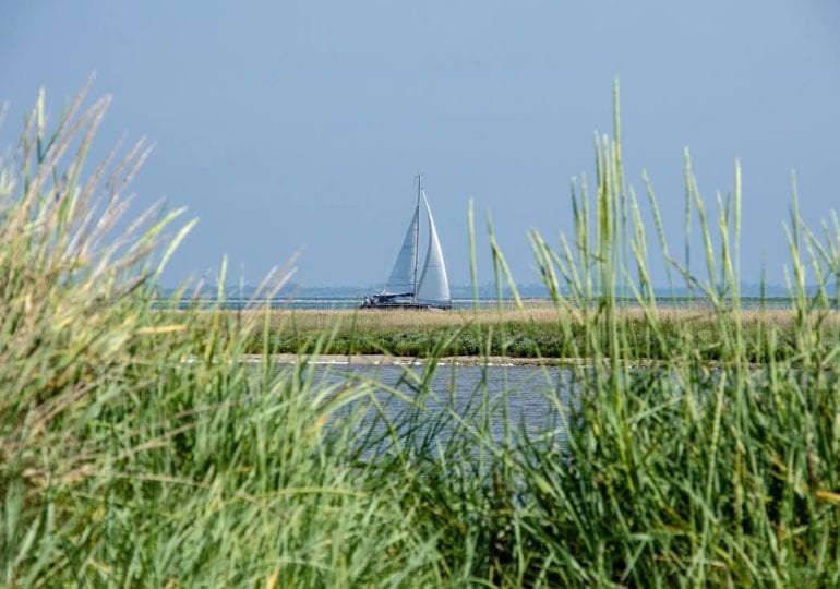 Kurze Wege und tolle Unternehmungen beim Familientörn in der Dänischen Südsee