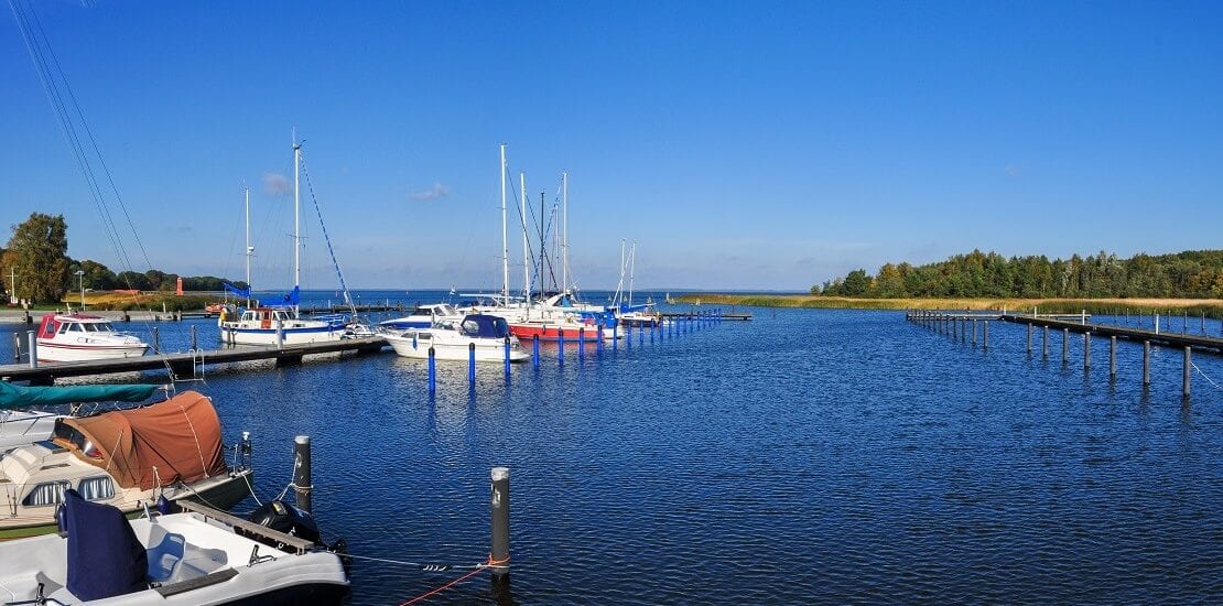 Flachwasser oder Ostsee – Rügen mit abwechslungsreichem Reviercharakter