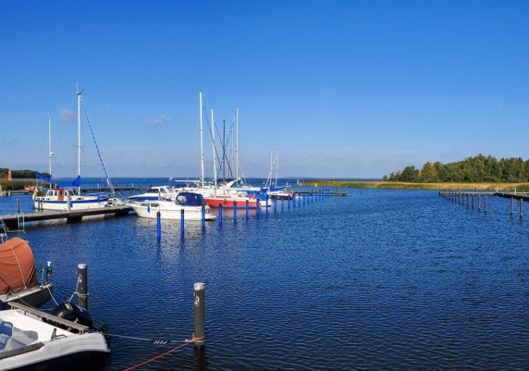 Flachwasser oder Ostsee – Rügen mit abwechslungsreichem Reviercharakter