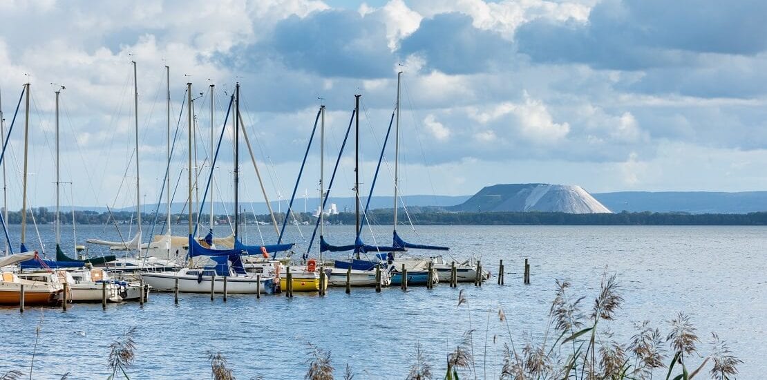 Segler-Paradies am Steinhuder Meer