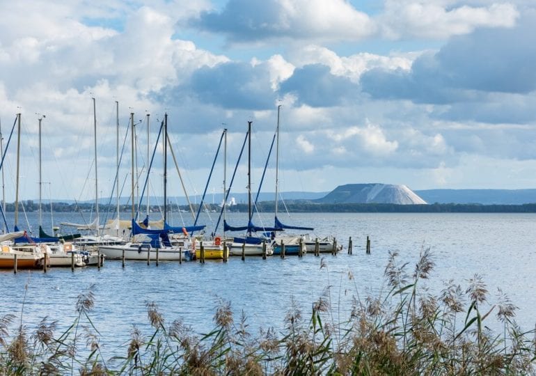 Segler-Paradies am Steinhuder Meer